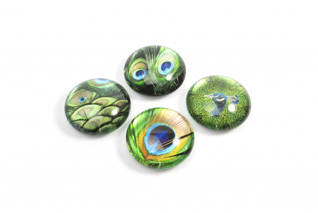 Trendform\u0020Magnet\u0020Eye\u0020\u002D\u0020Pauw\u0020\u002D\u0020set\u0020van\u00204\u0020verschillende