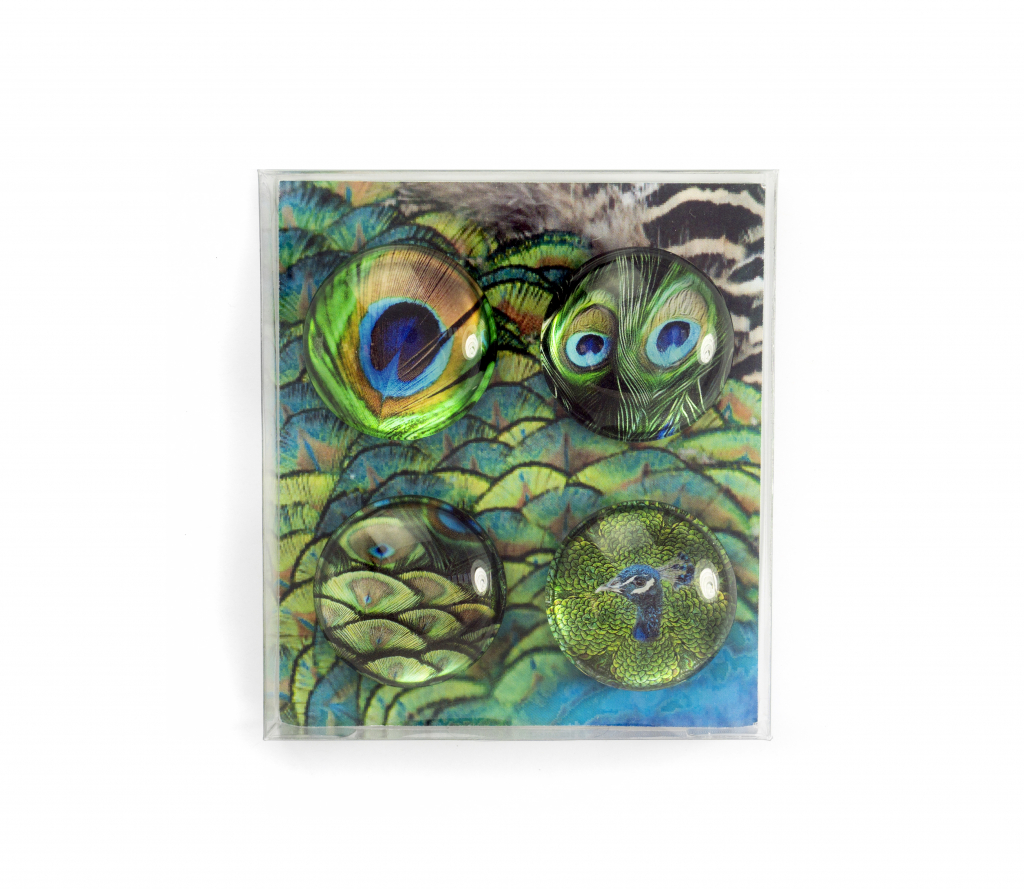 Trendform\u0020Magnet\u0020Eye\u0020\u002D\u0020Pauw\u0020\u002D\u0020set\u0020van\u00204\u0020verschillende