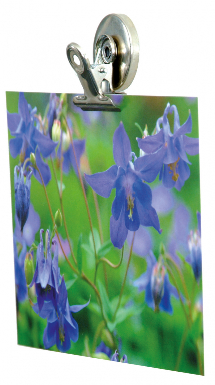 Trendform\u0020Magnet\u0020Clip\u0020Graffa\u0020\u002D\u0020set\u0020van\u00204\u0020stuks