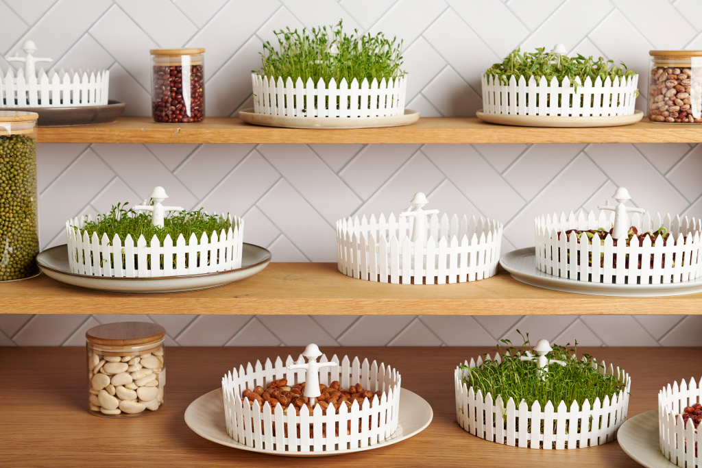 Peleg\u0020Design\u0020Seed\u0020Field\u0020\u002D\u0020Peleg\u0020Design\u0020Zaadveld Peleg\u0020Design\u0020Seed\u0020Field\u0020\u002D\u0020Peleg\u0020Design\u0020Zaadveld