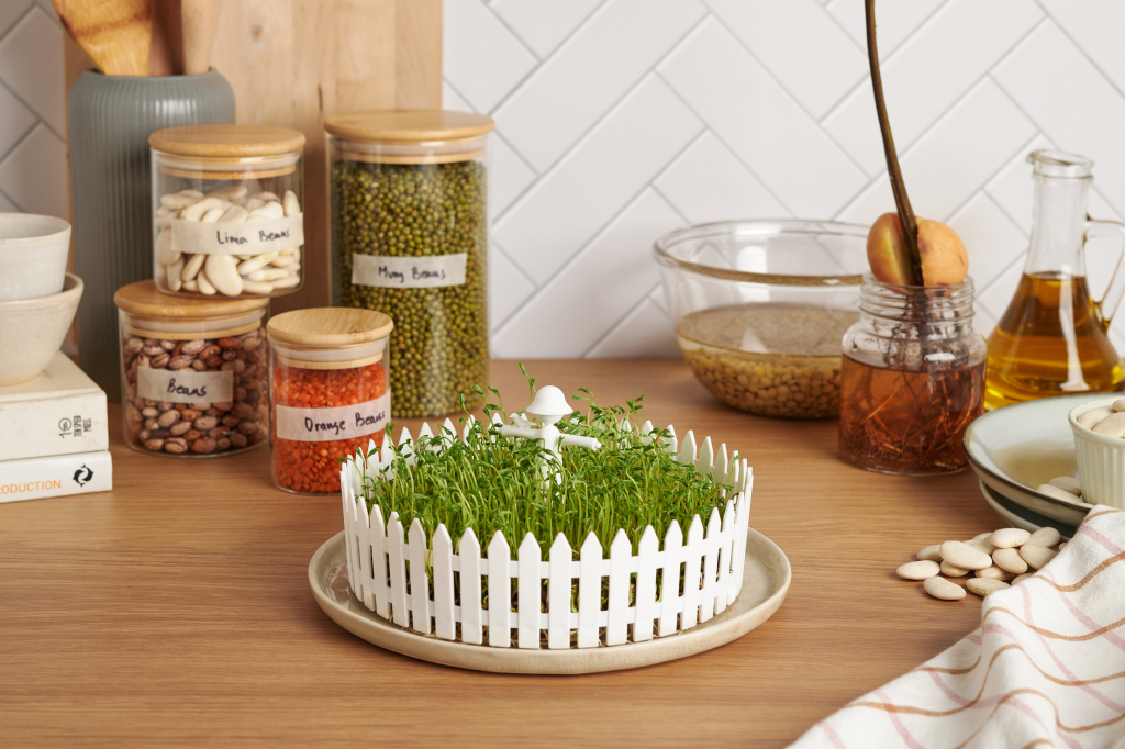 Peleg\u0020Design\u0020Seed\u0020Field\u0020\u002D\u0020Peleg\u0020Design\u0020Zaadveld Peleg\u0020Design\u0020Seed\u0020Field\u0020\u002D\u0020Peleg\u0020Design\u0020Zaadveld