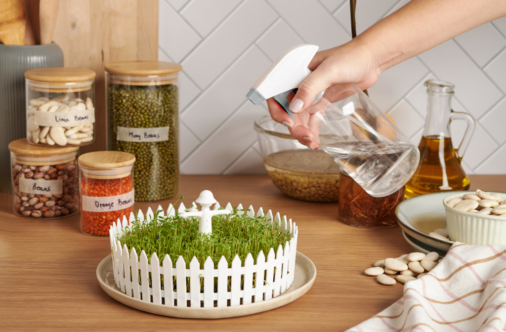 Peleg\u0020Design\u0020Seed\u0020Field\u0020\u002D\u0020Peleg\u0020Design\u0020Zaadveld Peleg\u0020Design\u0020Seed\u0020Field\u0020\u002D\u0020Peleg\u0020Design\u0020Zaadveld