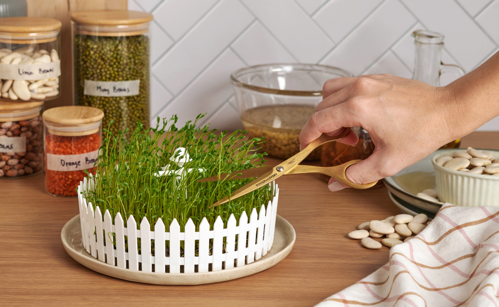 Peleg\u0020Design\u0020Seed\u0020Field\u0020\u002D\u0020Peleg\u0020Design\u0020Zaadveld Peleg\u0020Design\u0020Seed\u0020Field\u0020\u002D\u0020Peleg\u0020Design\u0020Zaadveld