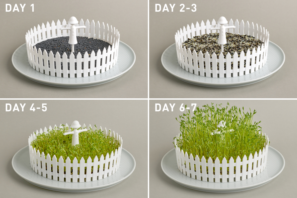 Peleg\u0020Design\u0020Seed\u0020Field\u0020\u002D\u0020Peleg\u0020Design\u0020Zaadveld Peleg\u0020Design\u0020Seed\u0020Field\u0020\u002D\u0020Peleg\u0020Design\u0020Zaadveld