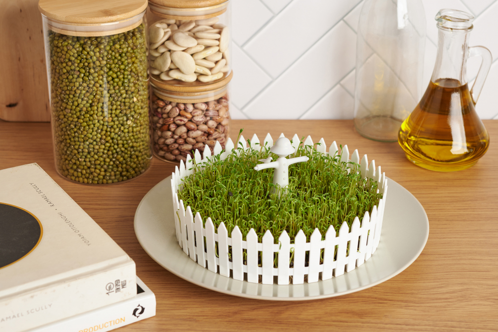 Peleg\u0020Design\u0020Seed\u0020Field\u0020\u002D\u0020Peleg\u0020Design\u0020Zaadveld Peleg\u0020Design\u0020Seed\u0020Field\u0020\u002D\u0020Peleg\u0020Design\u0020Zaadveld