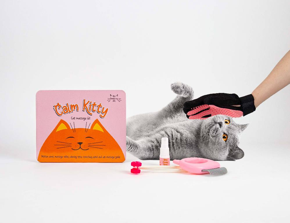 Gift\u0020Republic\u0020Massage\u0020Kit\u0020\u002D\u0020Kat Gift\u0020Republic\u0020Massage\u0020Kit\u0020\u002D\u0020Kat