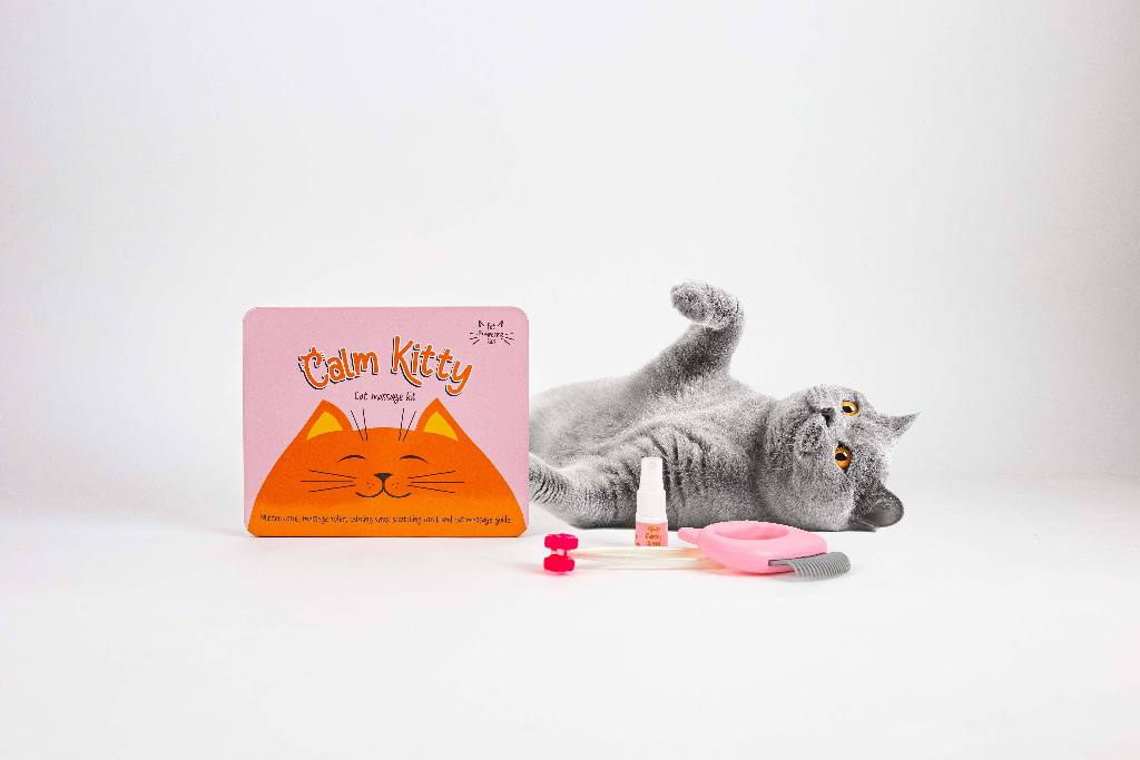 Gift\u0020Republic\u0020Massage\u0020Kit\u0020\u002D\u0020Kat Gift\u0020Republic\u0020Massage\u0020Kit\u0020\u002D\u0020Kat