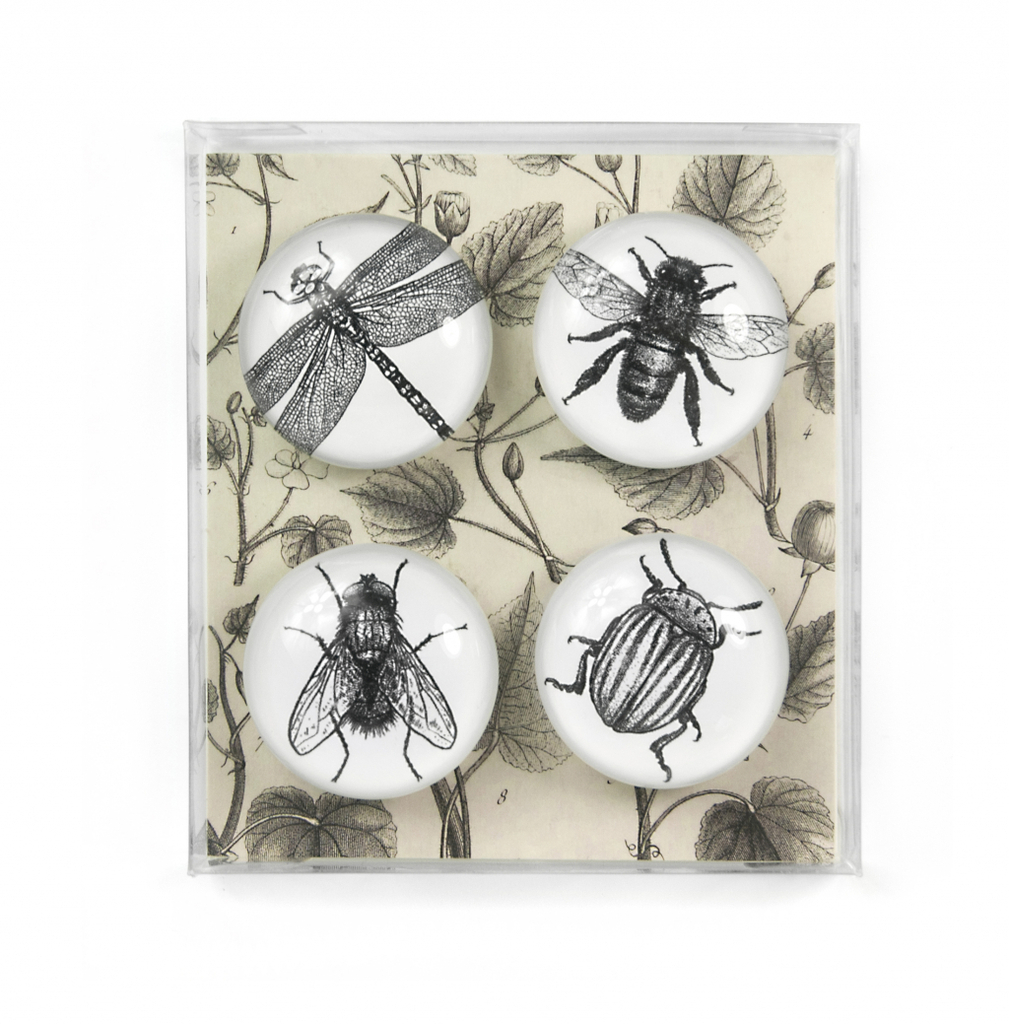 Trendform\u0020Magnet\u0020Eye\u0020\u002D\u0020Bug\u0020\u002D\u0020set\u0020van\u00204\u0020verschillende