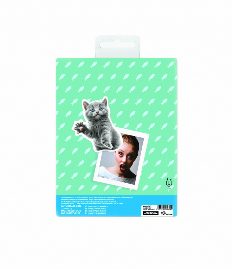 Mosterd\u0020Bange\u0020Kat\u0020Magneten\u0020\u002D\u002012\u0020stuks