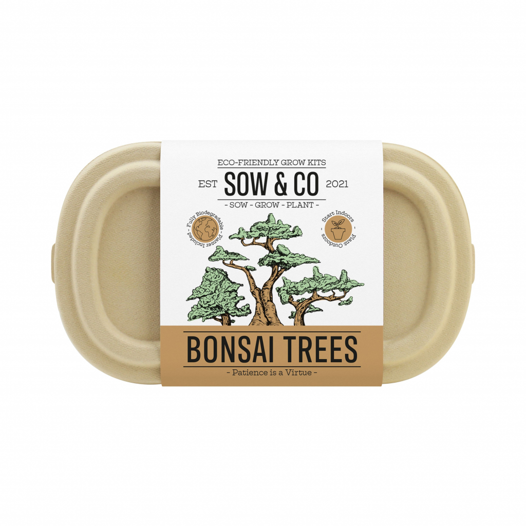 Gift\u0020Republic\u0020Bonsai\u0020Bomen
