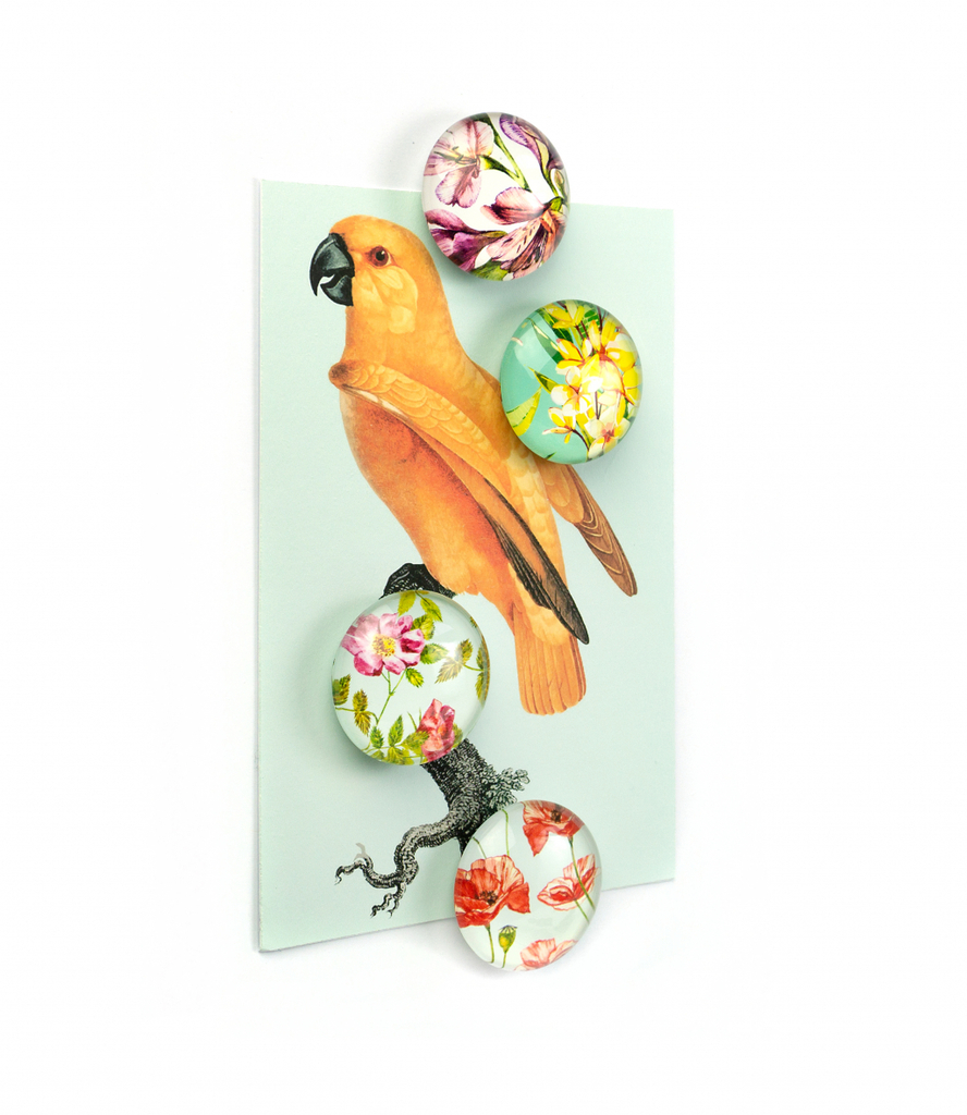 Trendform\u0020Magnet\u0020Eye\u0020\u002D\u0020Bloem\u0020\u002D\u0020set\u0020van\u00204\u0020verschillende