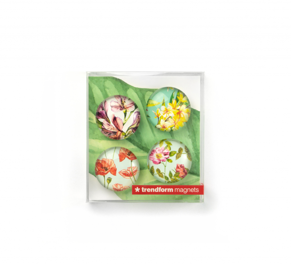 Trendform\u0020Magnet\u0020Eye\u0020\u002D\u0020Bloem\u0020\u002D\u0020set\u0020van\u00204\u0020verschillende