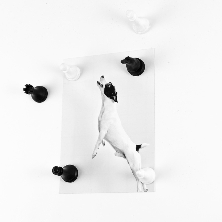 Trendform\u0020Magnetisch\u0020Schaakspel\u0020\u002D\u0020Set\u0020van\u00206