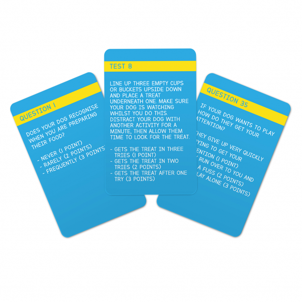 Gift\u0020Republic\u0020Honden\u0020IQ\u0020Test Gift\u0020Republic\u0020Honden\u0020IQ\u0020Test