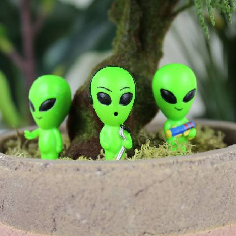 Gift\u0020Republic\u0020Alien\u0020Plant\u0020Markers\u0020\u002D\u0020Gift\u0020Republic\u0020Alien\u0020Plant\u0020Markers