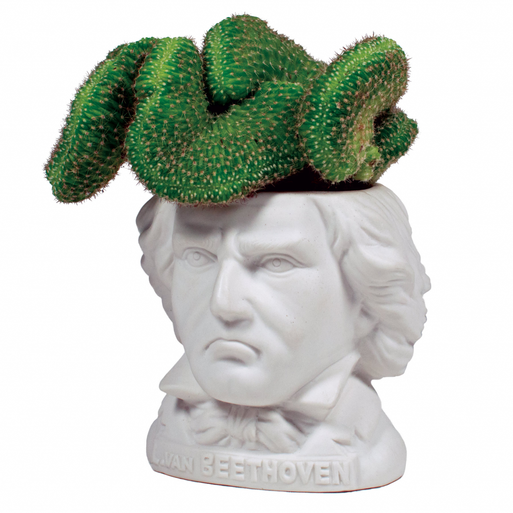 UPG\u0020Planter\u0020\u002D\u0020Ludwig\u0020von\u0020Beethoven