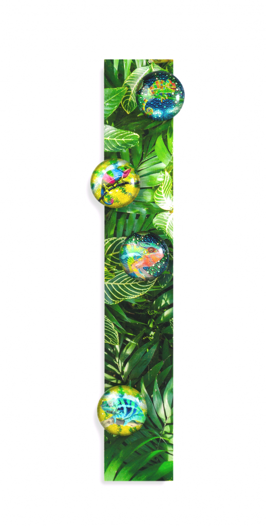 Trendform\u0020Verhaaldoos\u0020Kameleon\u0020Magneten