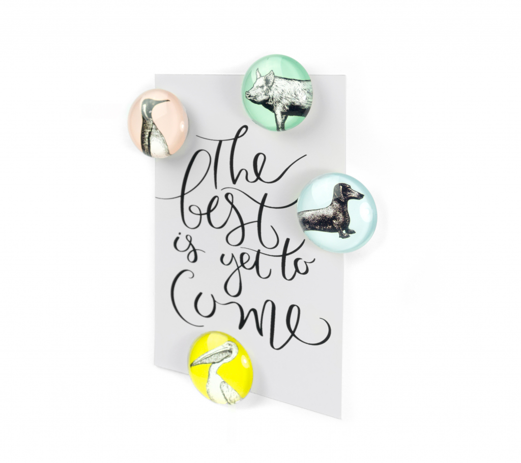 Trendform\u0020Magnet\u0020Eye\u0020\u002D\u0020Dieren\u0020\u002D\u0020set\u0020van\u00204\u0020verschillende