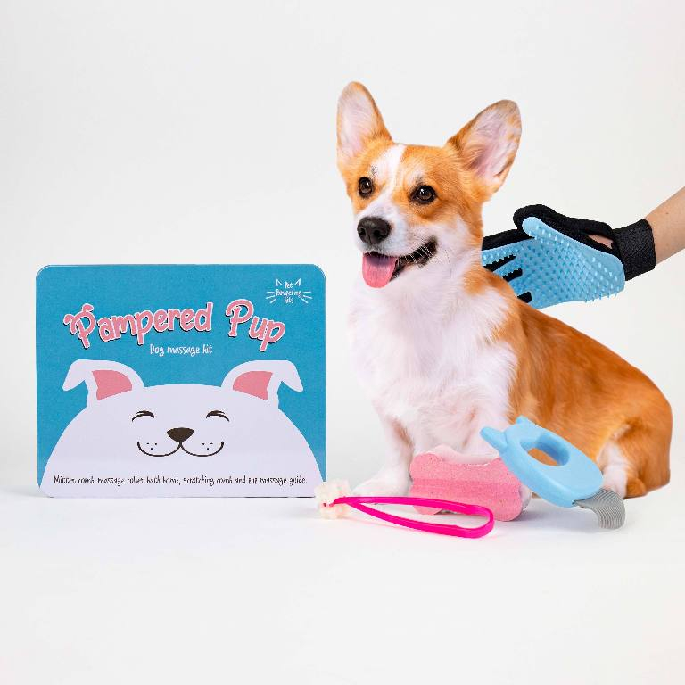 Gift\u0020Republic\u0020Massage\u0020Kit\u0020\u002D\u0020Hond