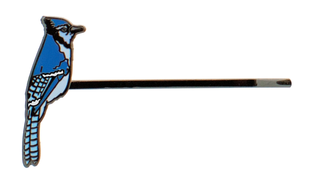 UPG\u0020Haarspelden\u0020\u002D\u0020Zangvogel