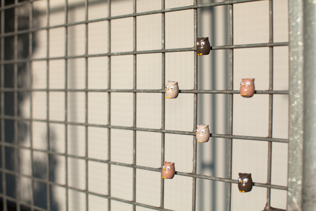 Trendform\u0020Magnetische\u0020Uil\u0020\u002D\u0020set\u0020van\u00206\u0020verschillende