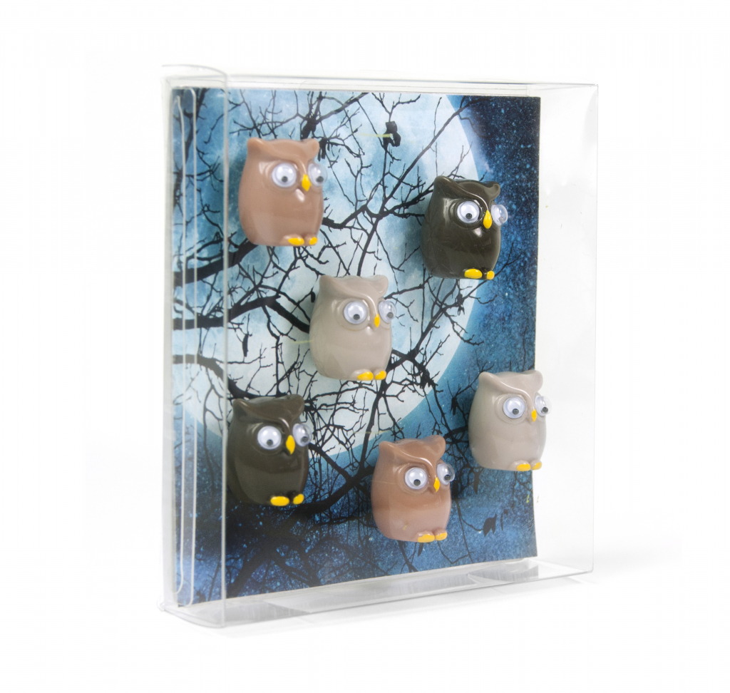 Trendform\u0020Magnetische\u0020Uil\u0020\u002D\u0020set\u0020van\u00206\u0020verschillende