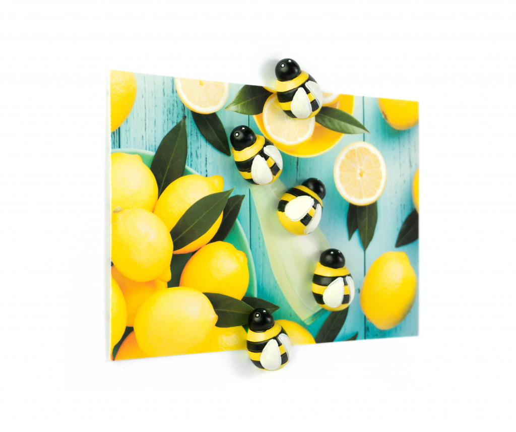 Trendform\u0020Magneet\u0020\u002D\u0020Honingbij\u0020\u002D\u0020set\u0020van\u00205