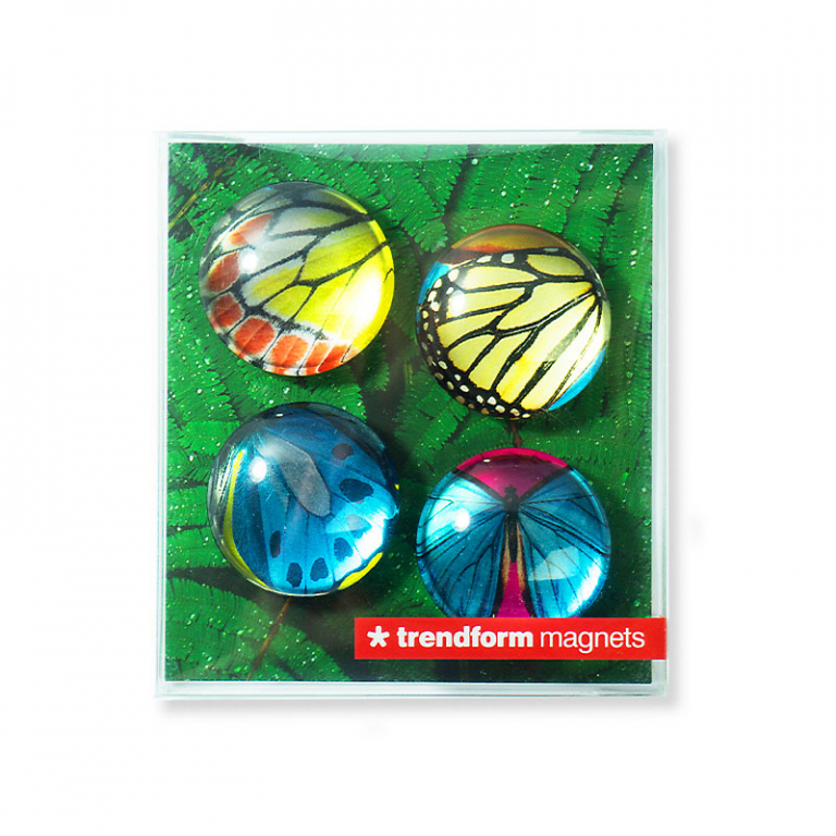 Trendform\u0020Magnet\u0020Eye\u0020\u002D\u0020Vlinder\u0020\u002D\u0020set\u0020van\u00204\u0020verschillende