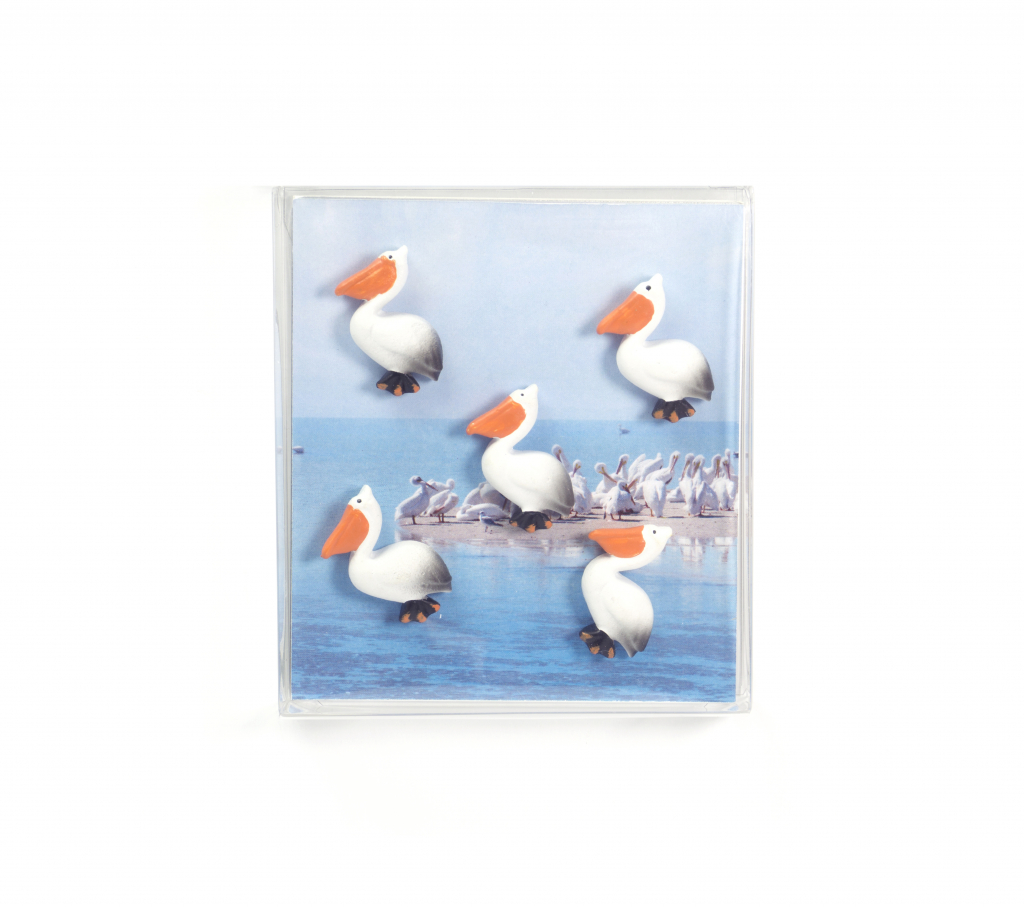 Trendform\u0020Magnetische\u0020Pelikaan\u0020\u002D\u0020set\u0020van\u00205\u0020stuks