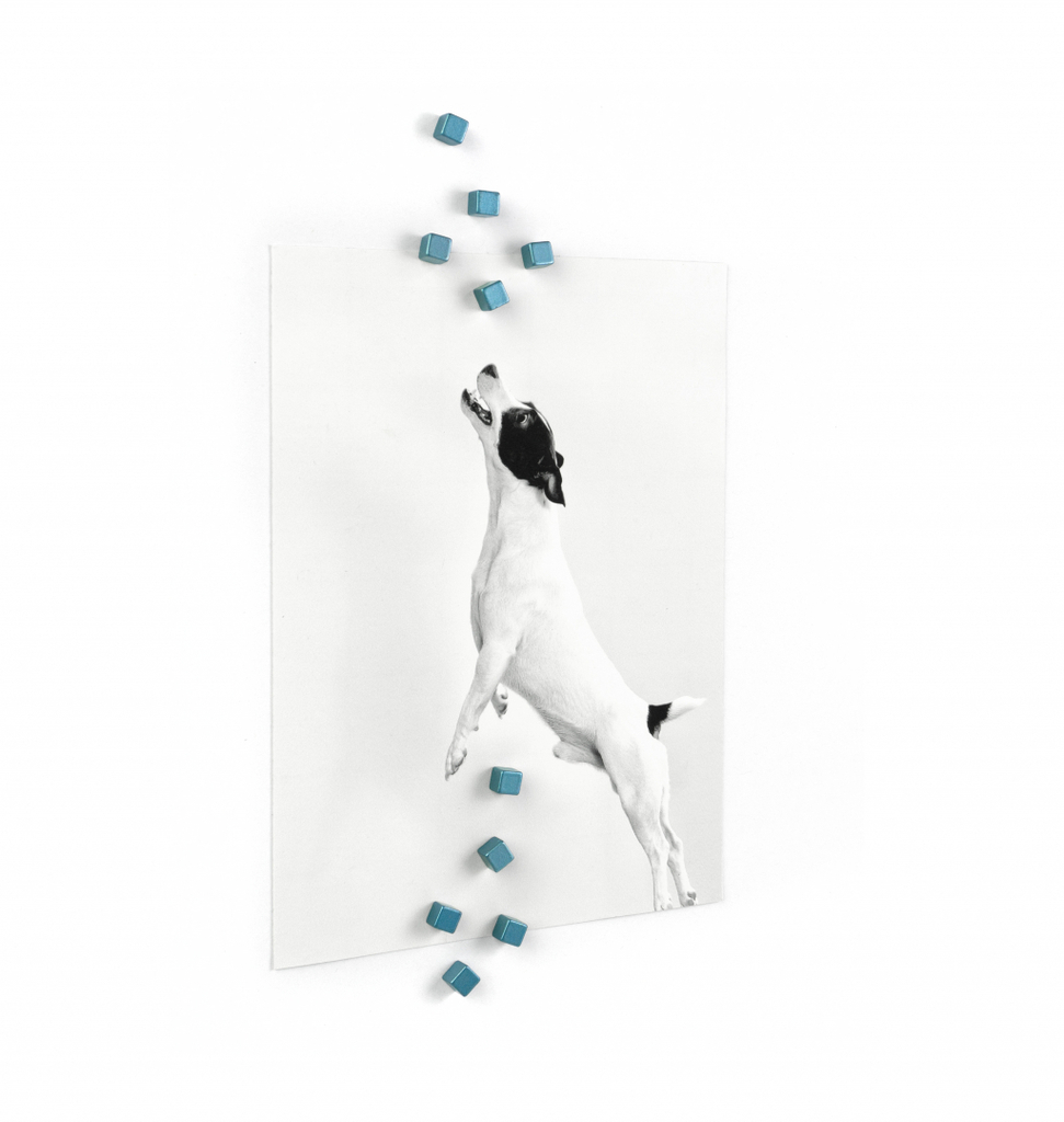 Trendform\u0020Magnet\u0020kubiq\u0020\u002D\u0020set\u0020van\u002010\u0020\u002D\u0020Blauw