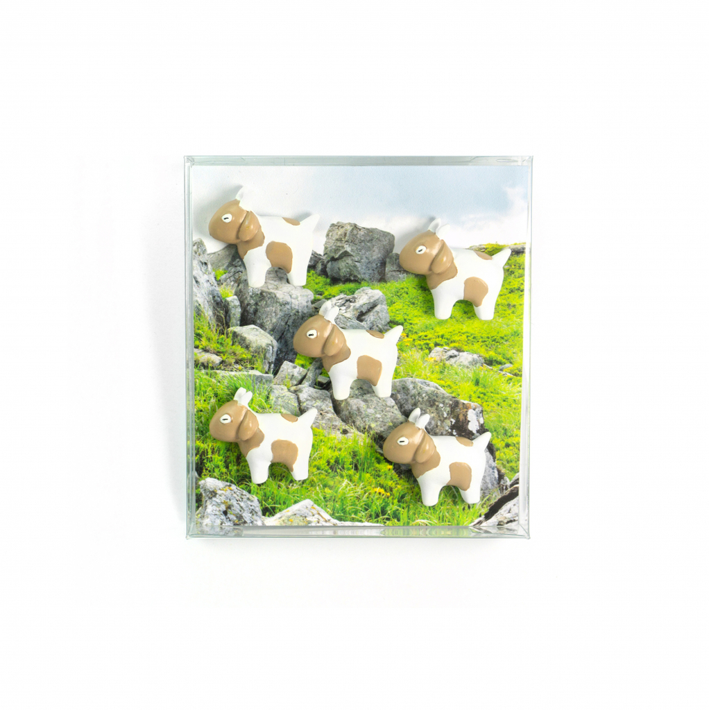 Trendform\u0020Magnetische\u0020Geit\u0020\u002D\u0020set\u0020van\u00205\u0020verschillende