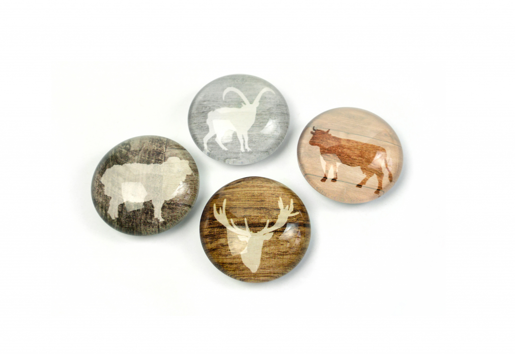 Trendform\u0020Magnet\u0020Eye\u0020\u002D\u0020alp\u0020Leven\u0020\u002D\u0020set\u0020van\u00204\u0020geassorteerd