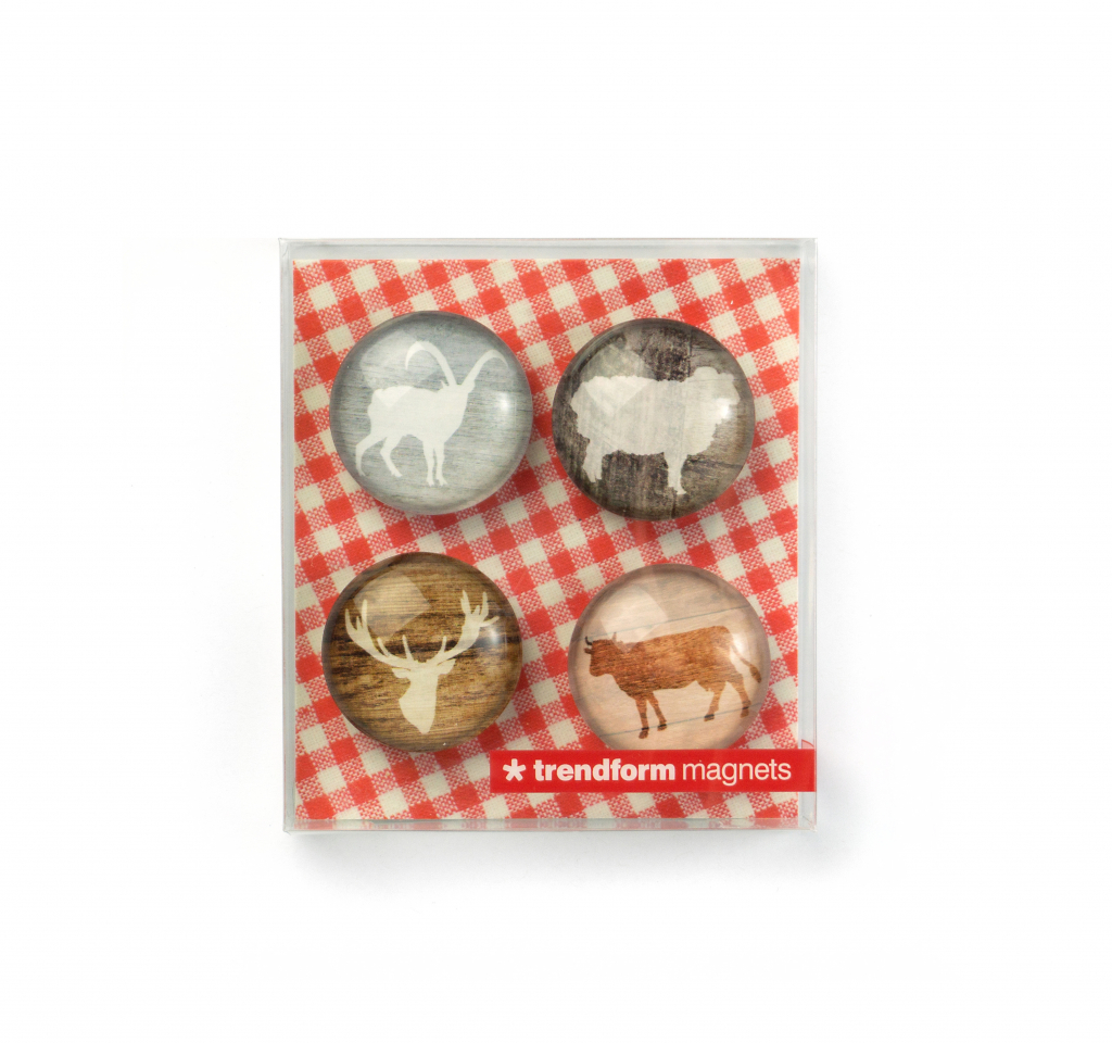 Trendform\u0020Magnet\u0020Eye\u0020\u002D\u0020alp\u0020Leven\u0020\u002D\u0020set\u0020van\u00204\u0020geassorteerd