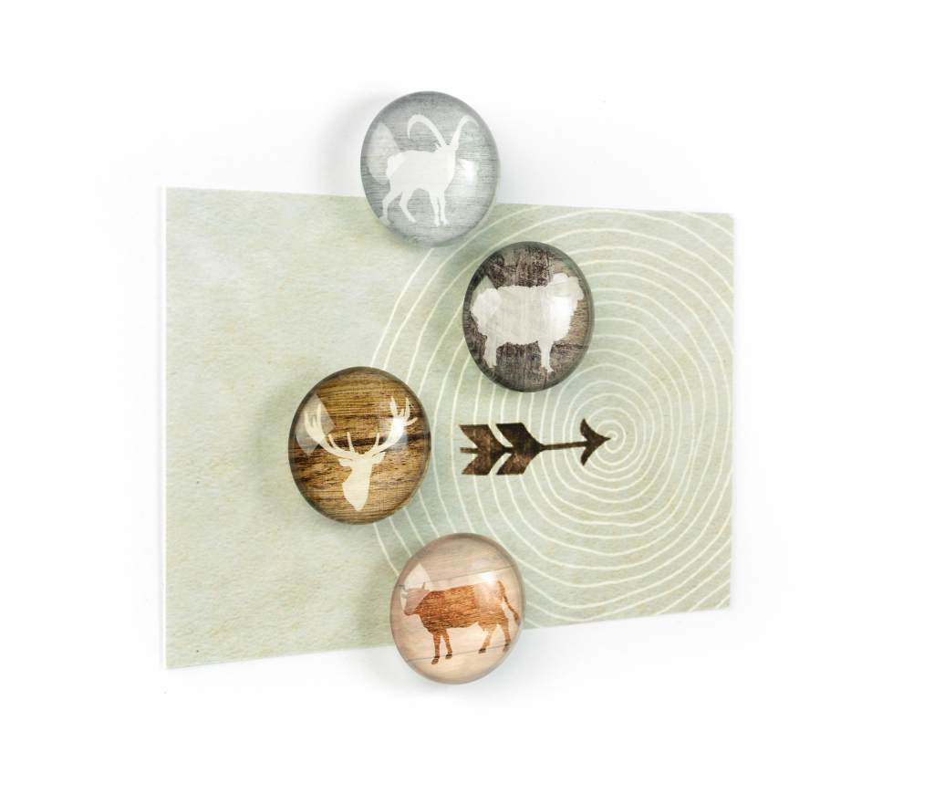 Trendform\u0020Magnet\u0020Eye\u0020\u002D\u0020alp\u0020Leven\u0020\u002D\u0020set\u0020van\u00204\u0020geassorteerd