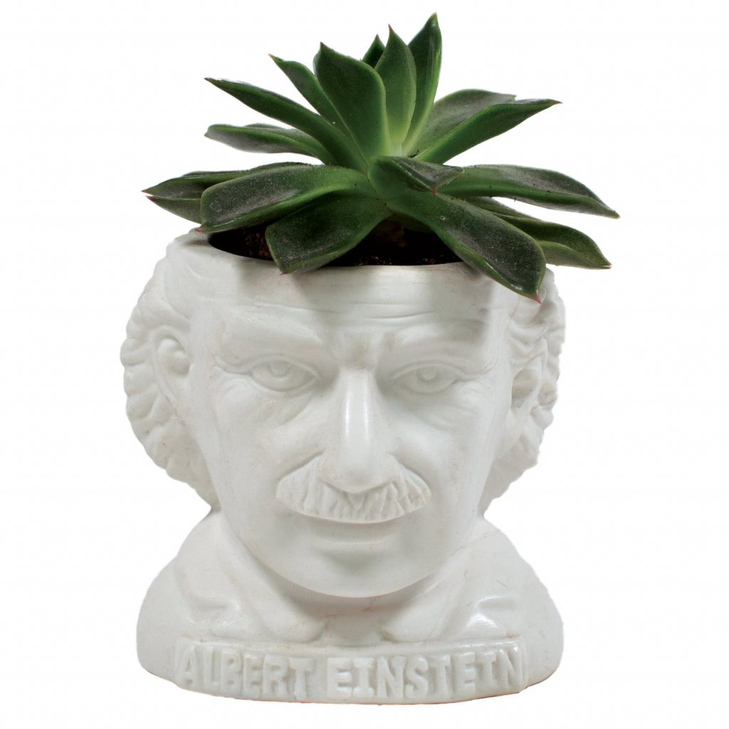 UPG\u0020Planter\u0020\u002D\u0020Albert\u0020Einstein\u000A\u000AUPG\u0020Planter\u0020\u002D\u0020Albert\u0020Einstein