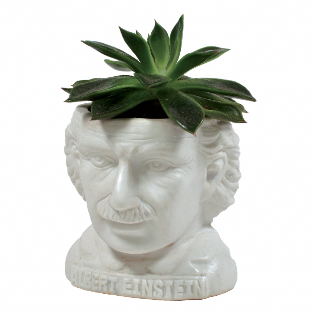 UPG\u0020Planter\u0020\u002D\u0020Albert\u0020Einstein\u000A\u000AUPG\u0020Planter\u0020\u002D\u0020Albert\u0020Einstein