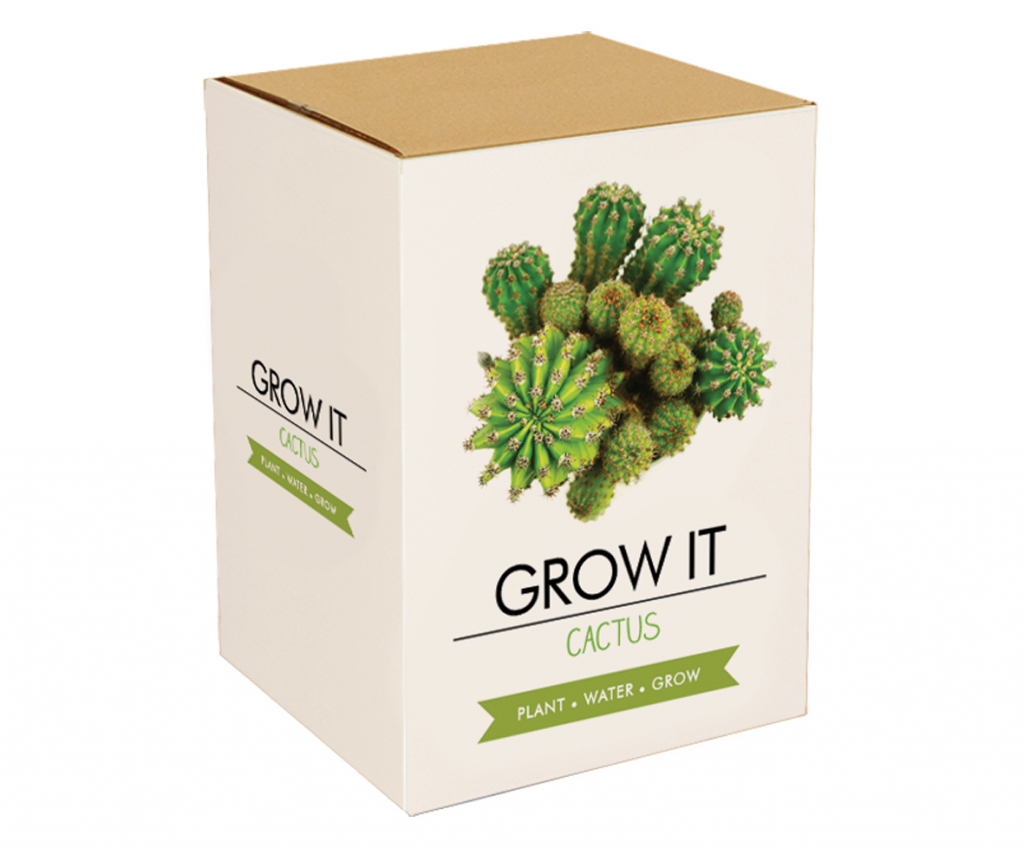 Gift\u0020Republic\u0020Cactus\u0020Planten Gift\u0020Republic\u0020Cactus\u0020Planten