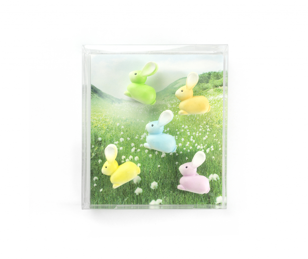 Trendform\u0020Magnetisch\u0020Konijn\u0020\u002D\u0020set\u0020van\u00205\u0020verschillende