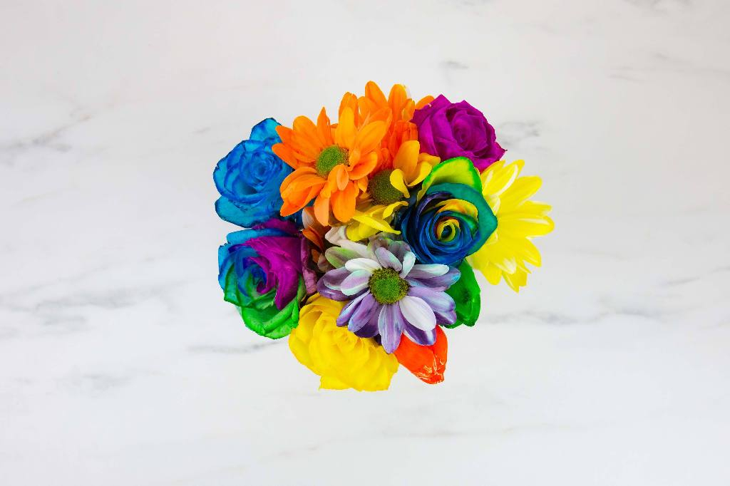 Gift\u0020Republic\u0020DIY\u0020Regenboog\u0020Bloemen\u0020Kit