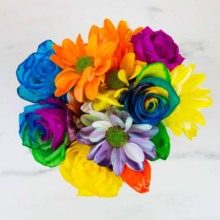 Gift\u0020Republic\u0020DIY\u0020Regenboog\u0020Bloemen\u0020Kit