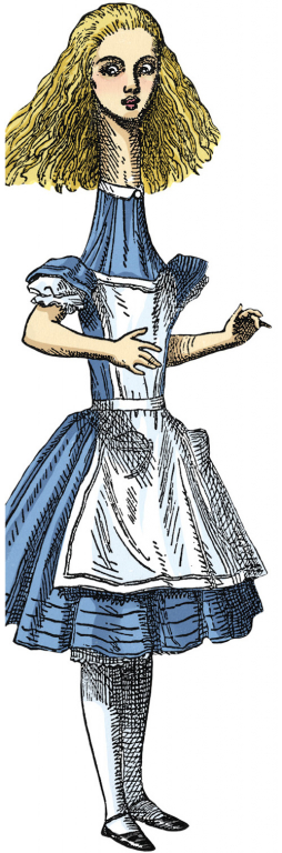 UPG\u0020Kaart\u0020\u002D\u0020Alice