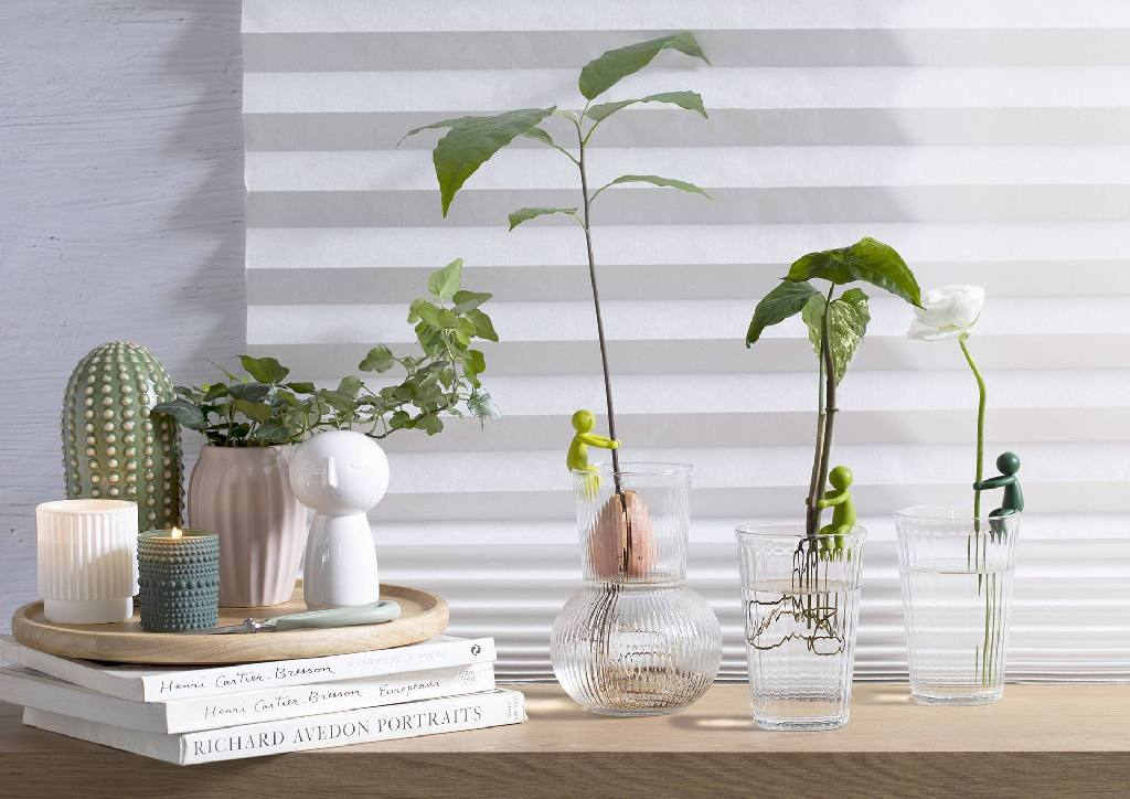 Peleg\u0020Leafriend\u0020\u002D\u003E\u0020Peleg\u0020Bladenvriend