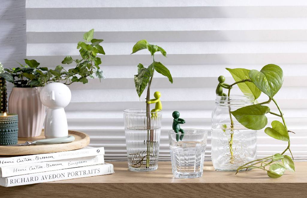 Peleg\u0020Leafriend\u0020\u002D\u003E\u0020Peleg\u0020Bladenvriend