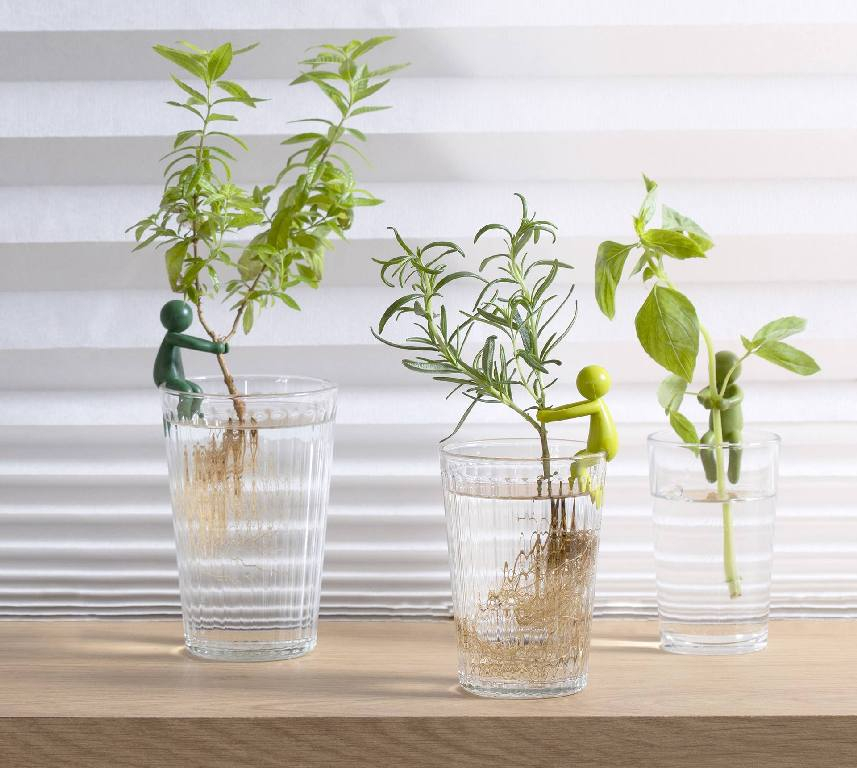 Peleg\u0020Leafriend\u0020\u002D\u003E\u0020Peleg\u0020Bladenvriend