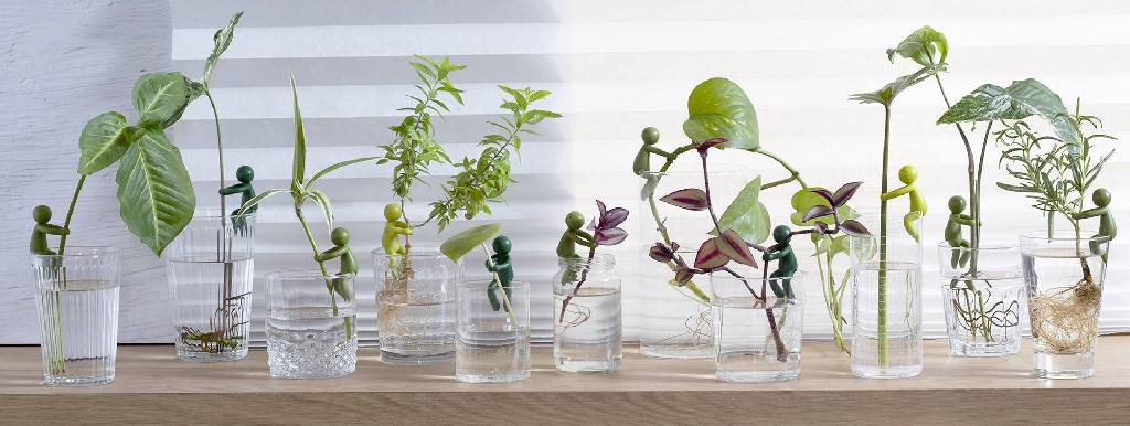 Peleg\u0020Leafriend\u0020\u002D\u003E\u0020Peleg\u0020Bladenvriend