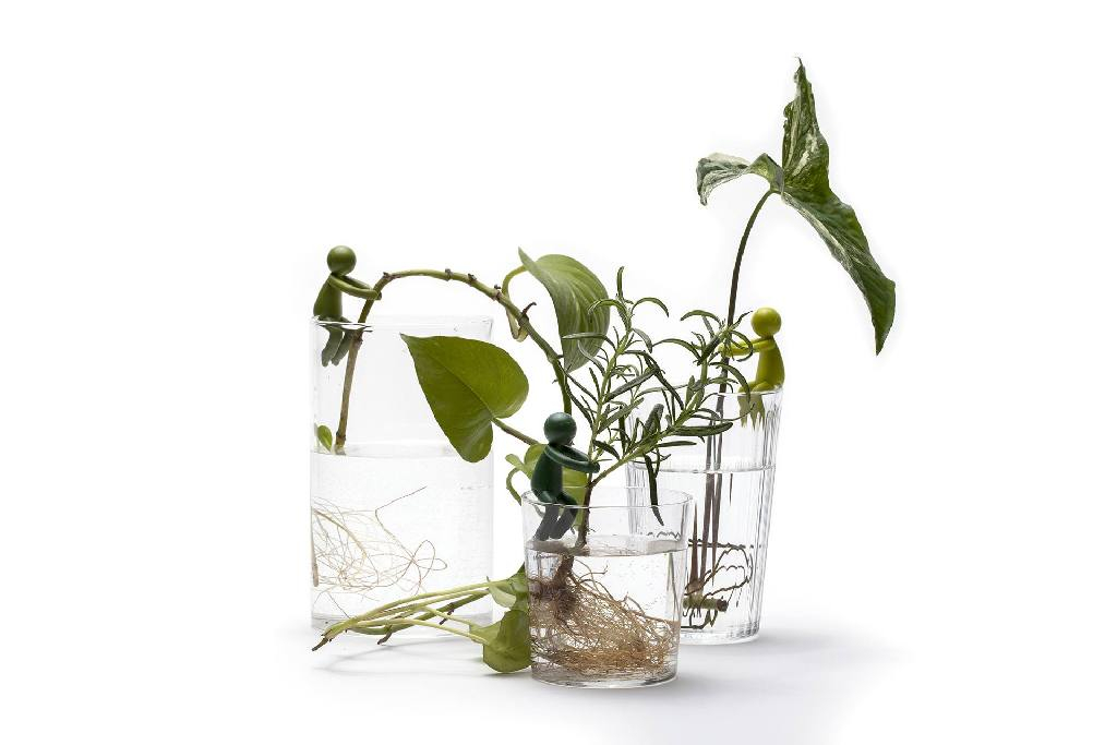 Peleg\u0020Leafriend\u0020\u002D\u003E\u0020Peleg\u0020Bladenvriend