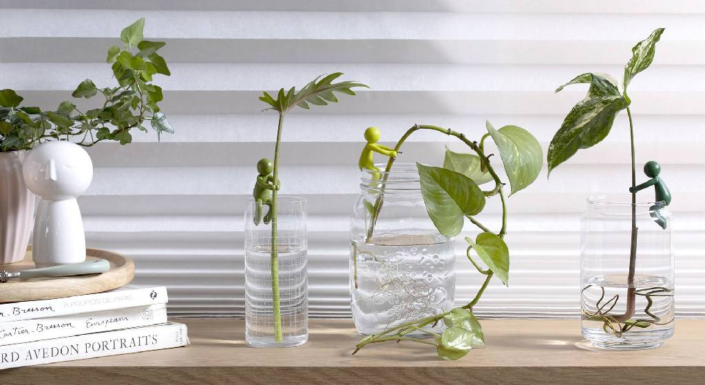 Peleg\u0020Leafriend\u0020\u002D\u003E\u0020Peleg\u0020Bladenvriend