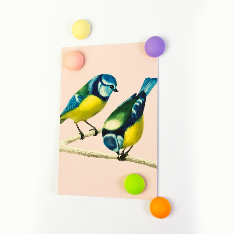 Trendform\u0020Magneten\u0020Joy\u0020\u002D\u0020set\u0020van\u00205\u0020\u002D\u0020multicolor