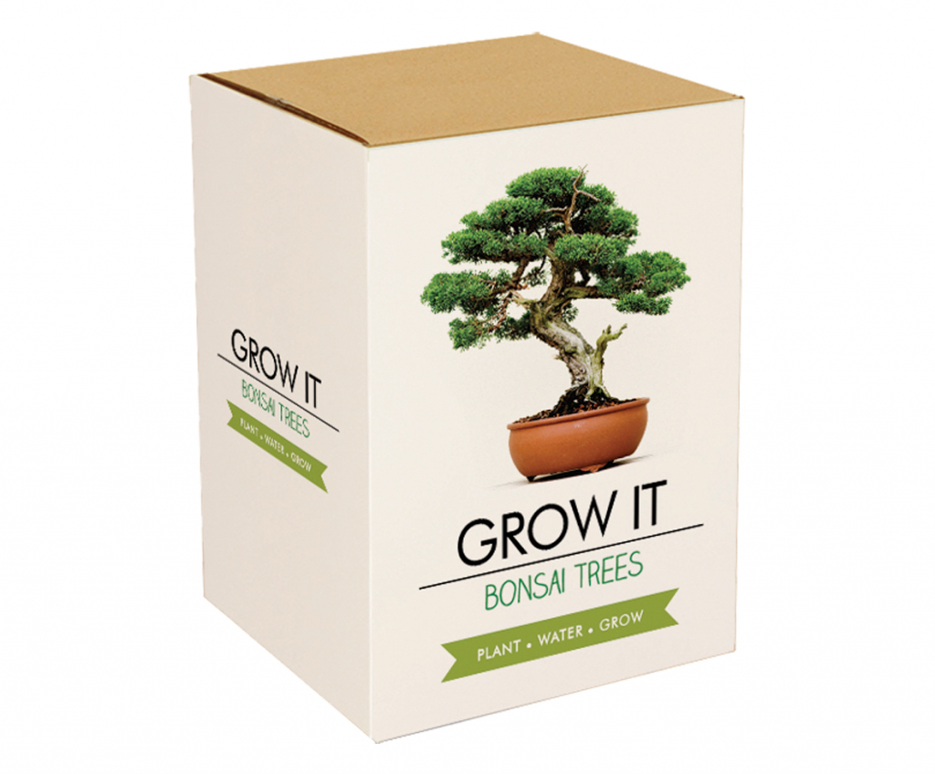 Gift\u0020Republic\u0020Bonsai\u0020Bomen