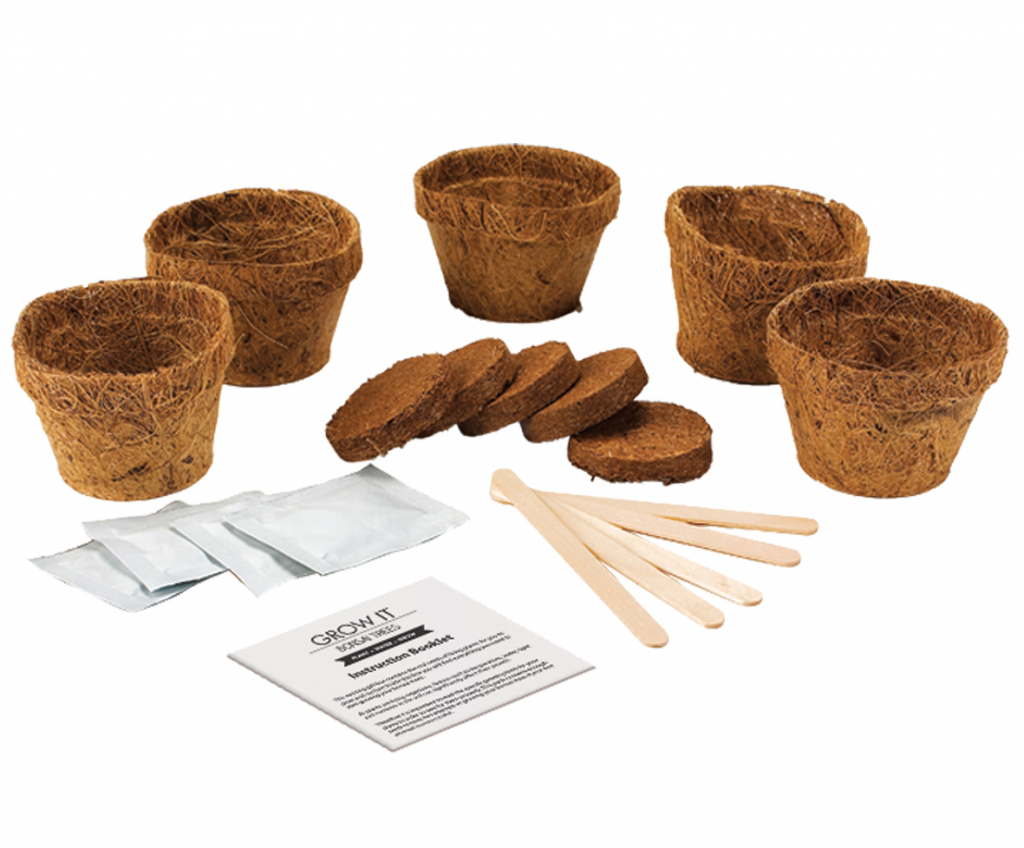 Gift\u0020Republic\u0020Bonsai\u0020Bomen